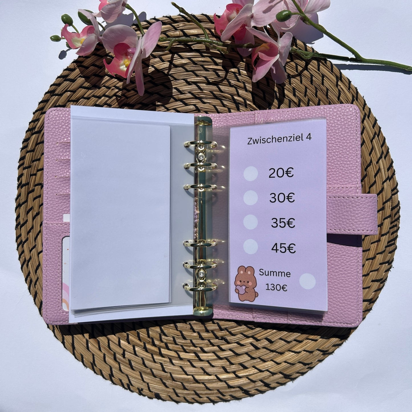 999€ Bunny Sparplan