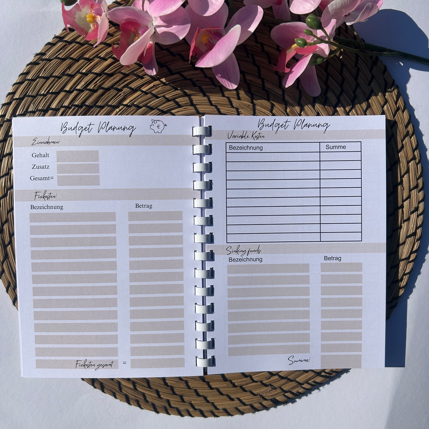 Budgetplaner Ringbuch Schlicht