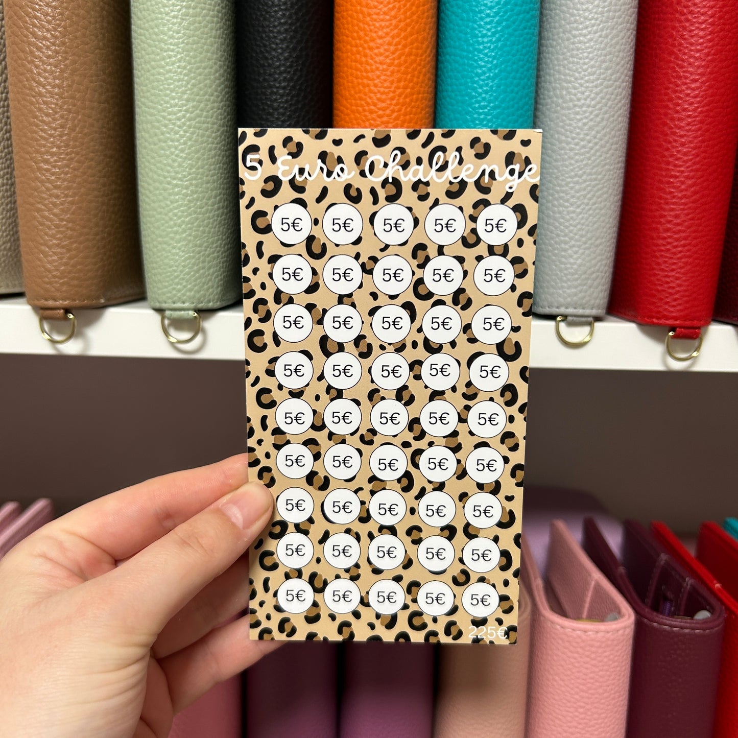 5 Euro Leo Sparchallenge