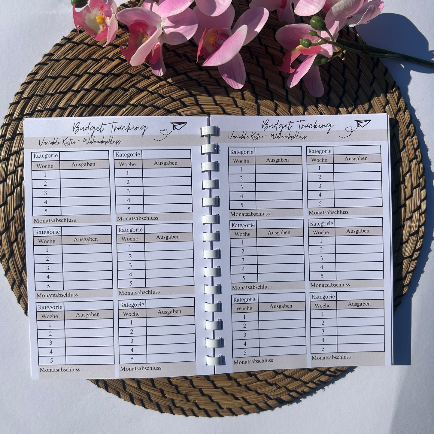 Budgetplaner Ringbuch Schlicht