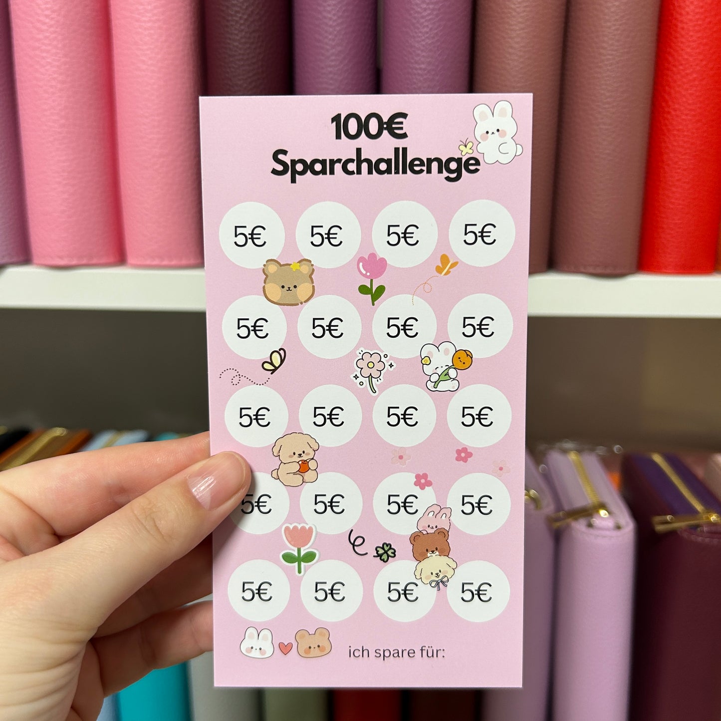 100 Euro Sparchallenge