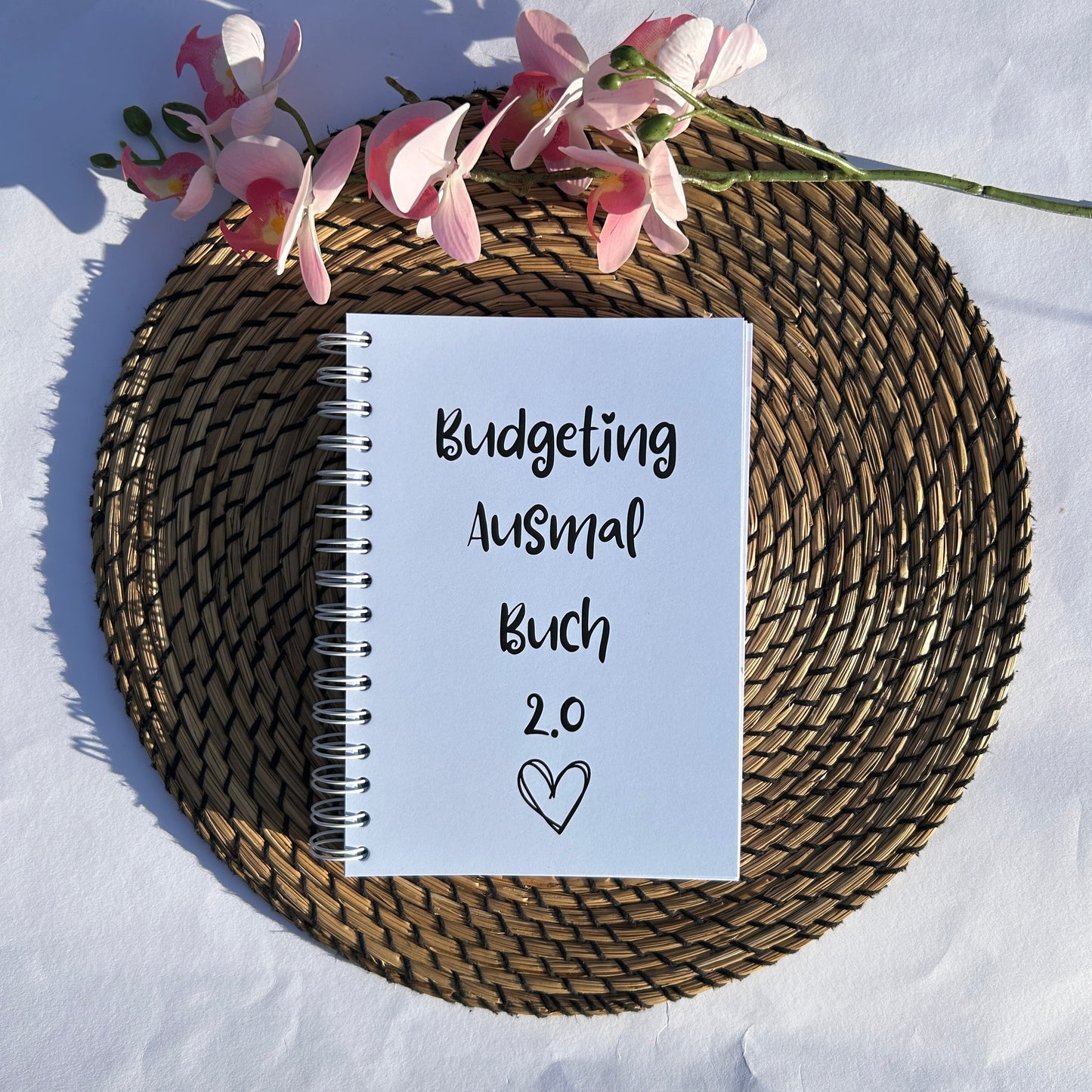 Budgeting Ausmalbuch 2.0