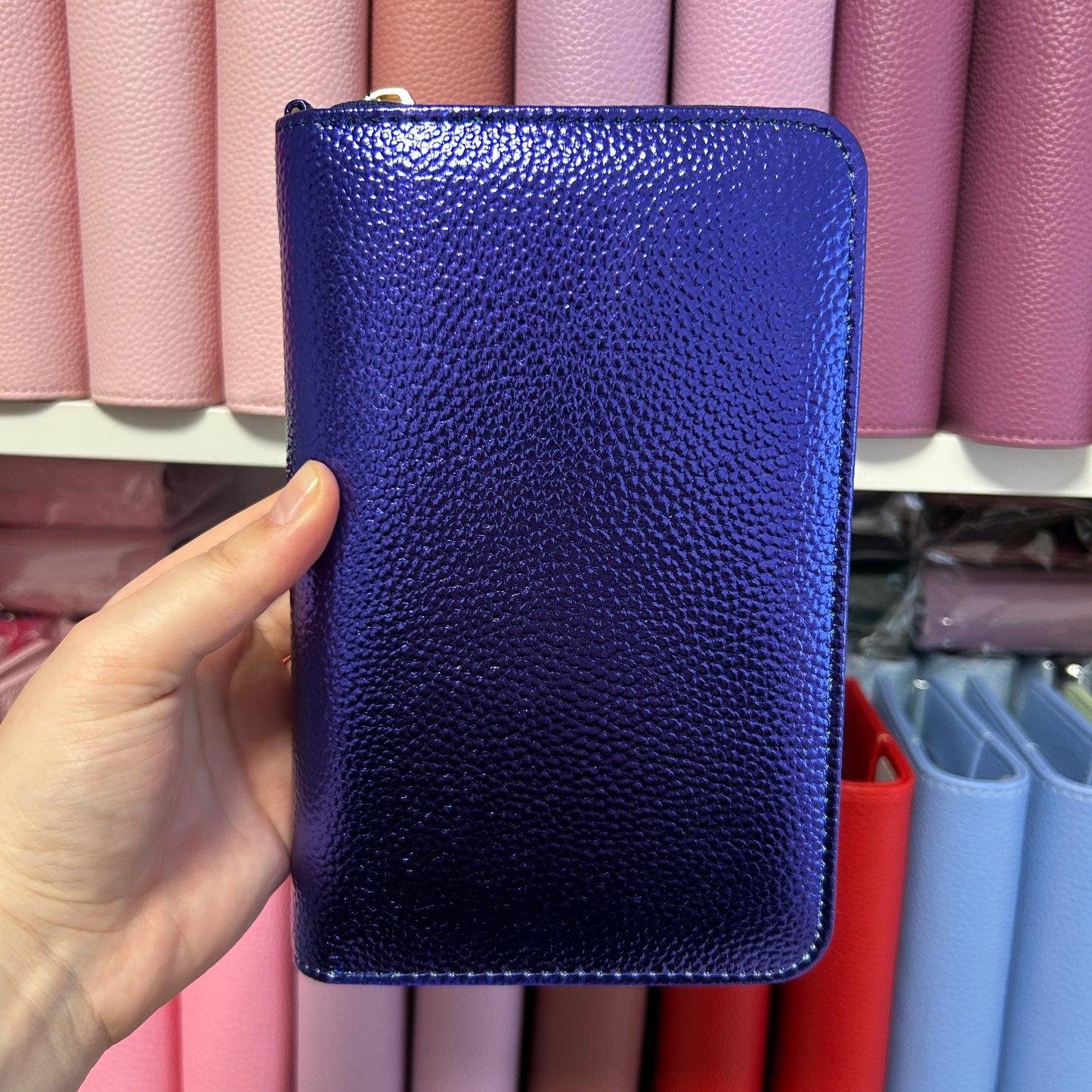 A6 Zip Deluxe Budgetbinder