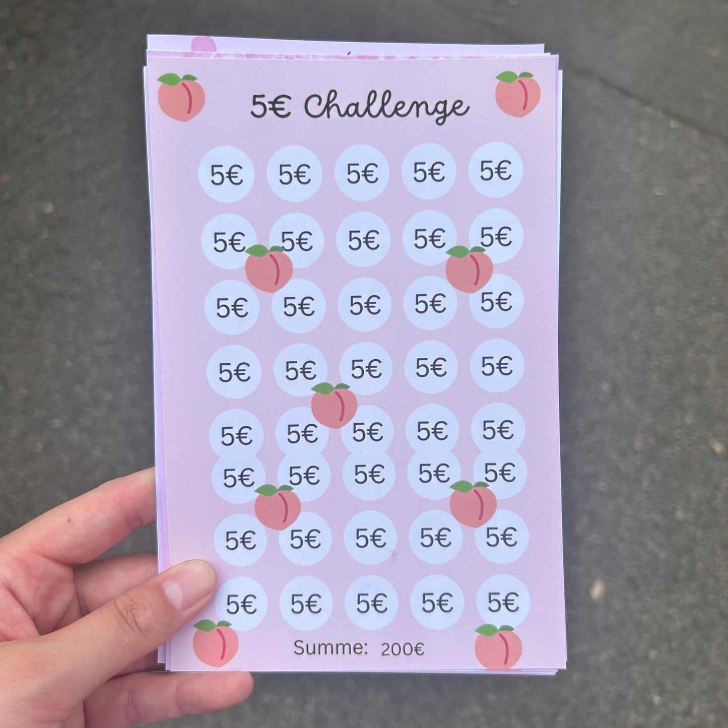 Dina5 Sparchallenges