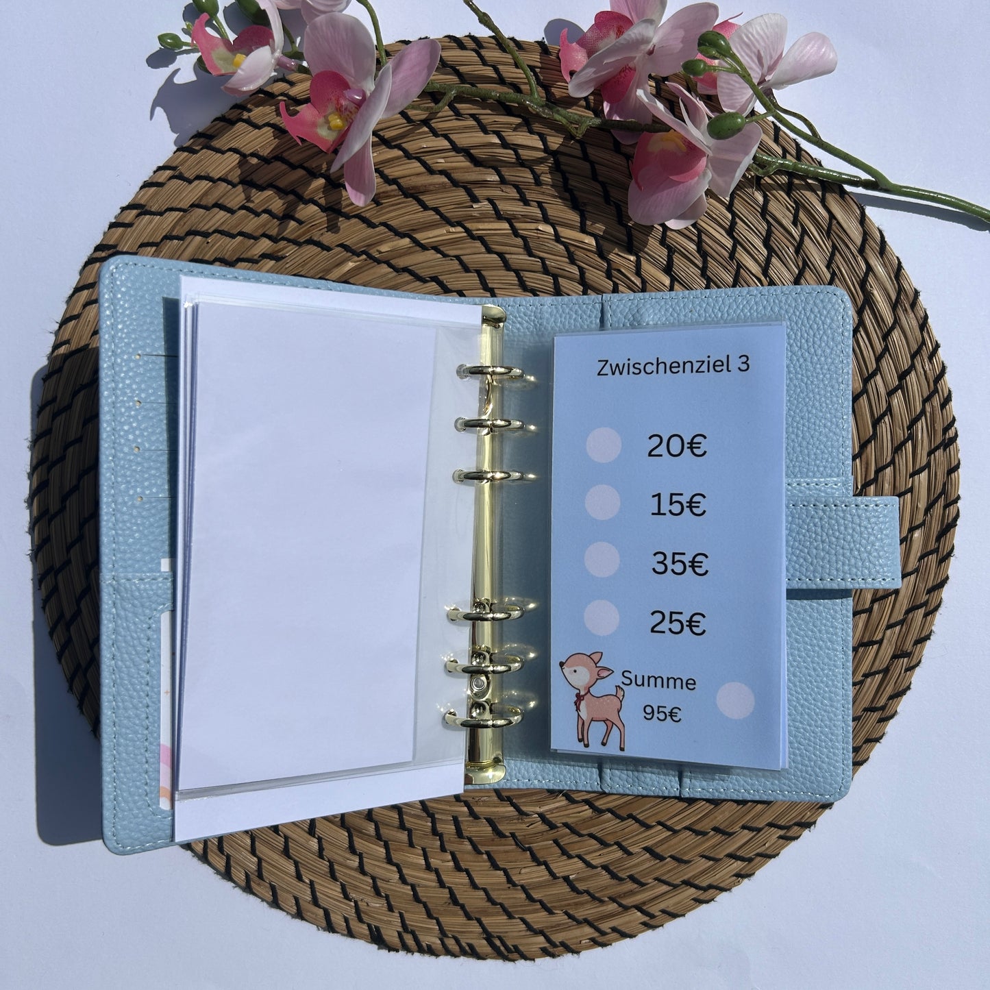 700€ Fairy Sparplan