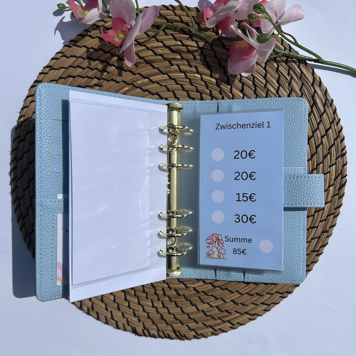 700€ Fairy Sparplan