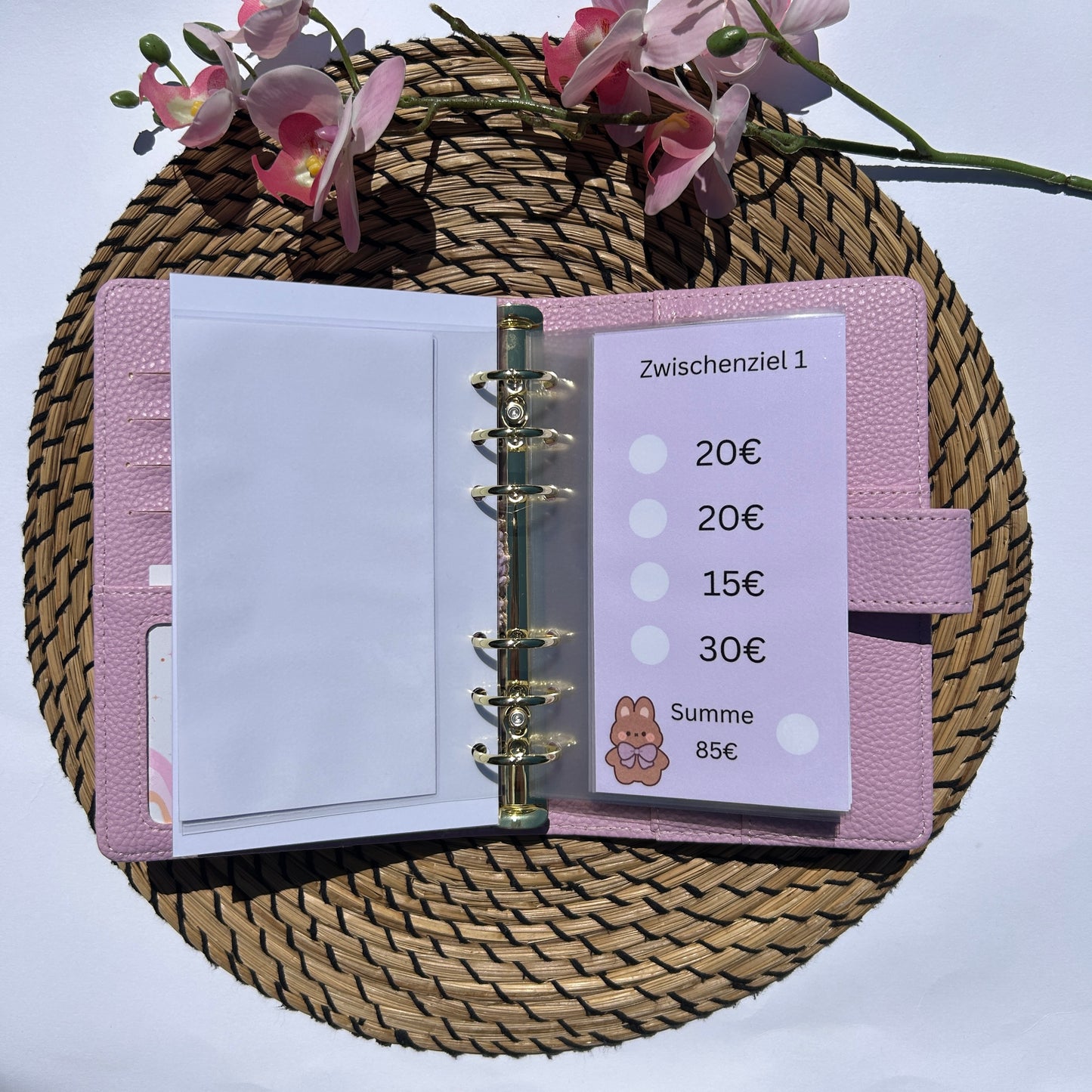 999€ Bunny Sparplan