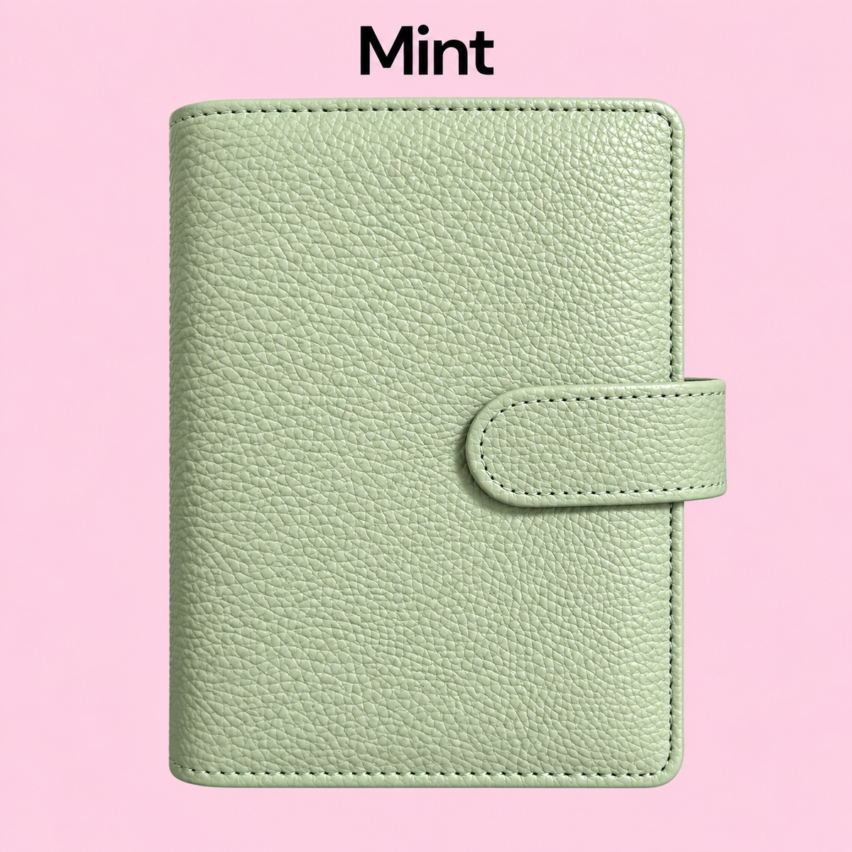 A6 Deluxe Budgetbinder