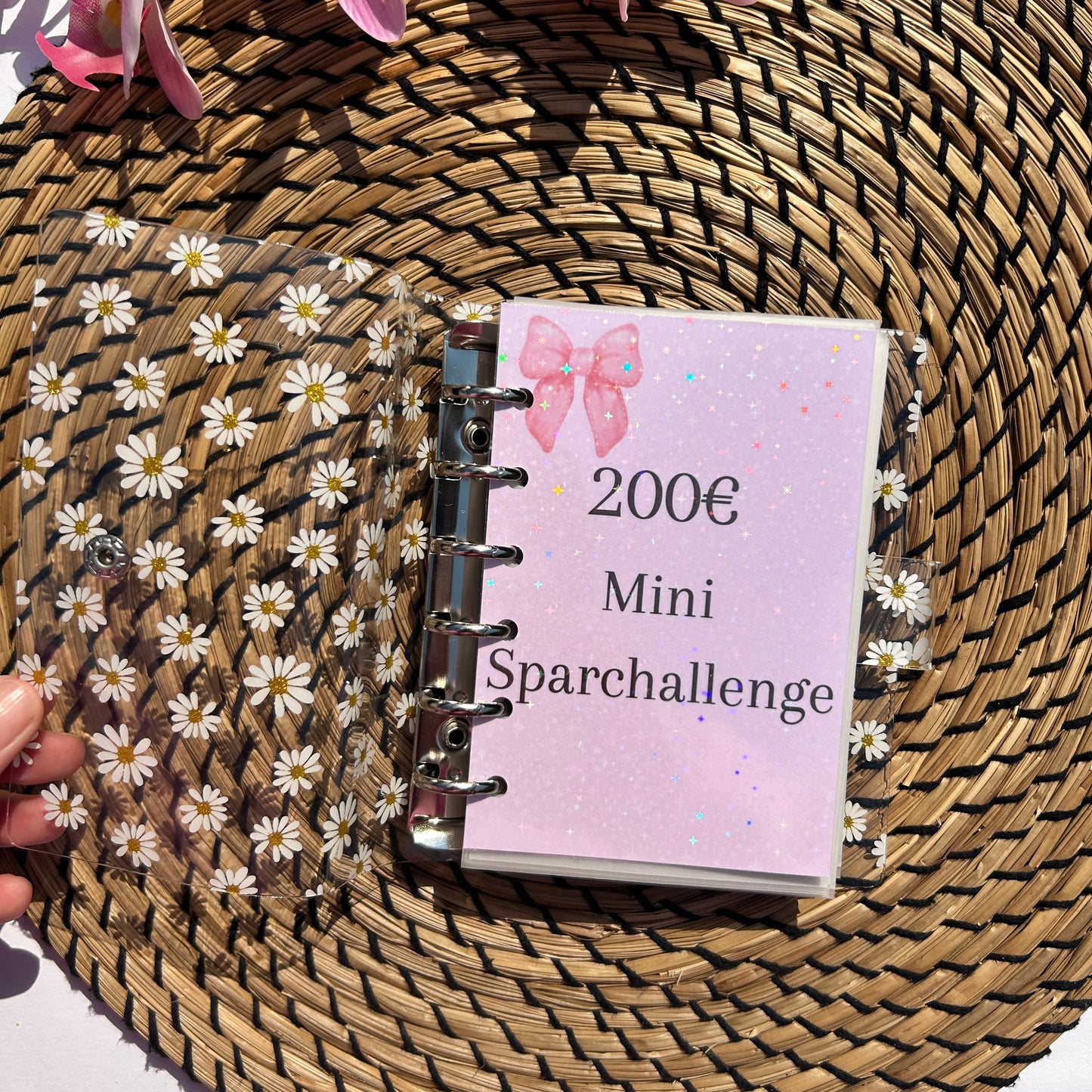 200 Euro Mini Sparchallenge