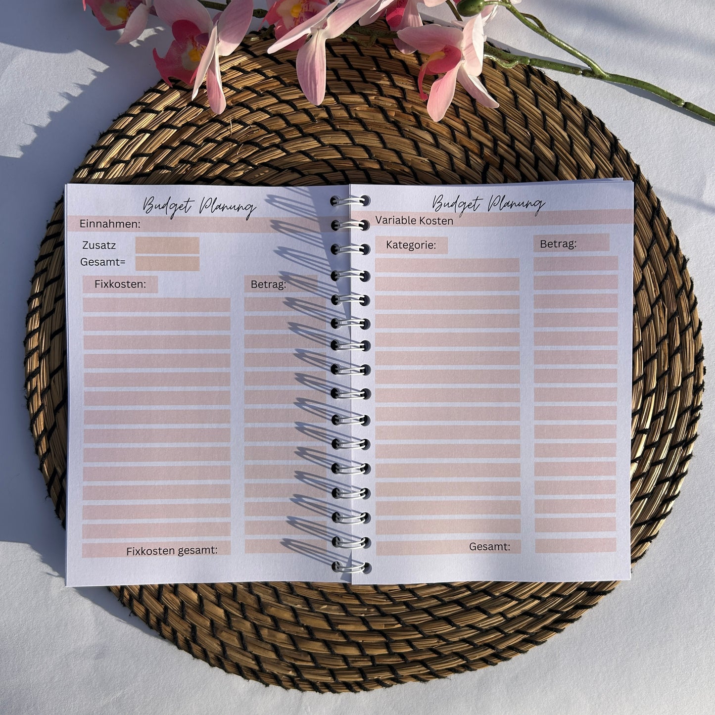 Leo A5 Budgetplaner Ringbuch