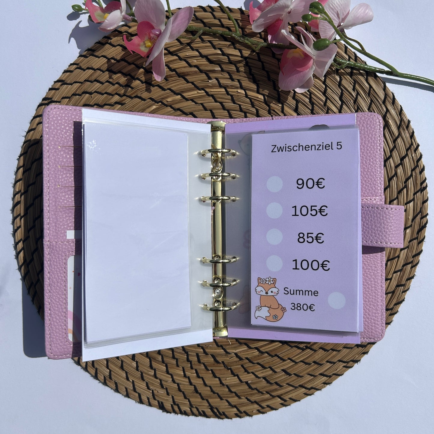 5000€ in 52 Wochen Challenge