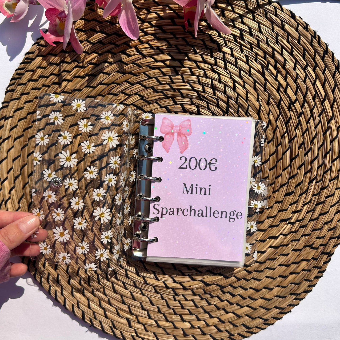 200 Euro Mini Sparchallenge