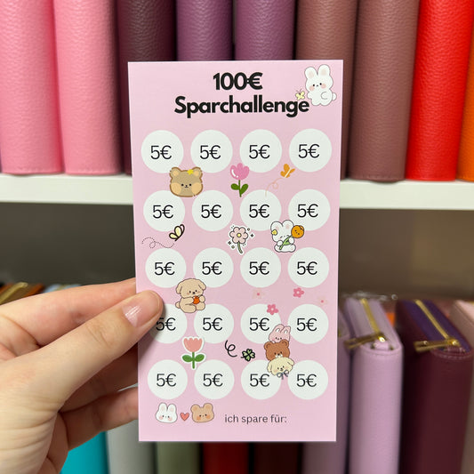 100 Euro Sparchallenge