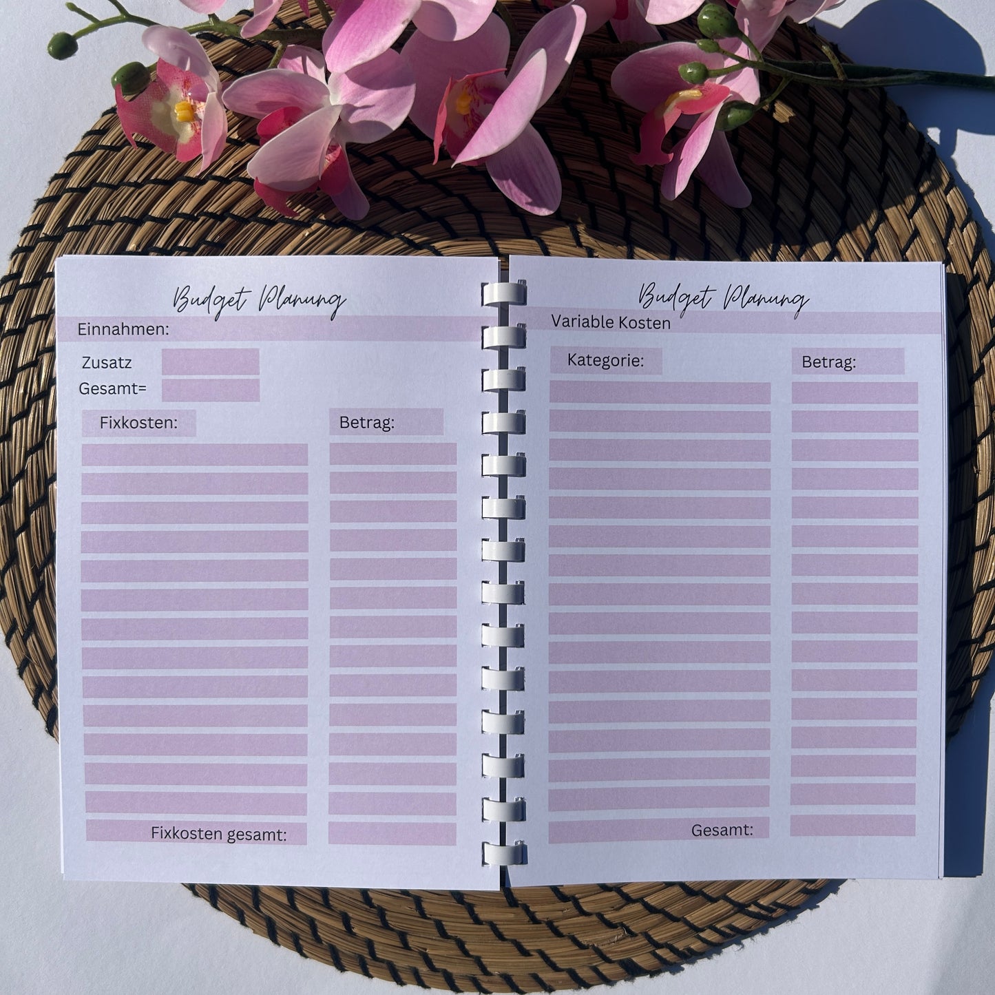 Budgetplaner Ringbuch