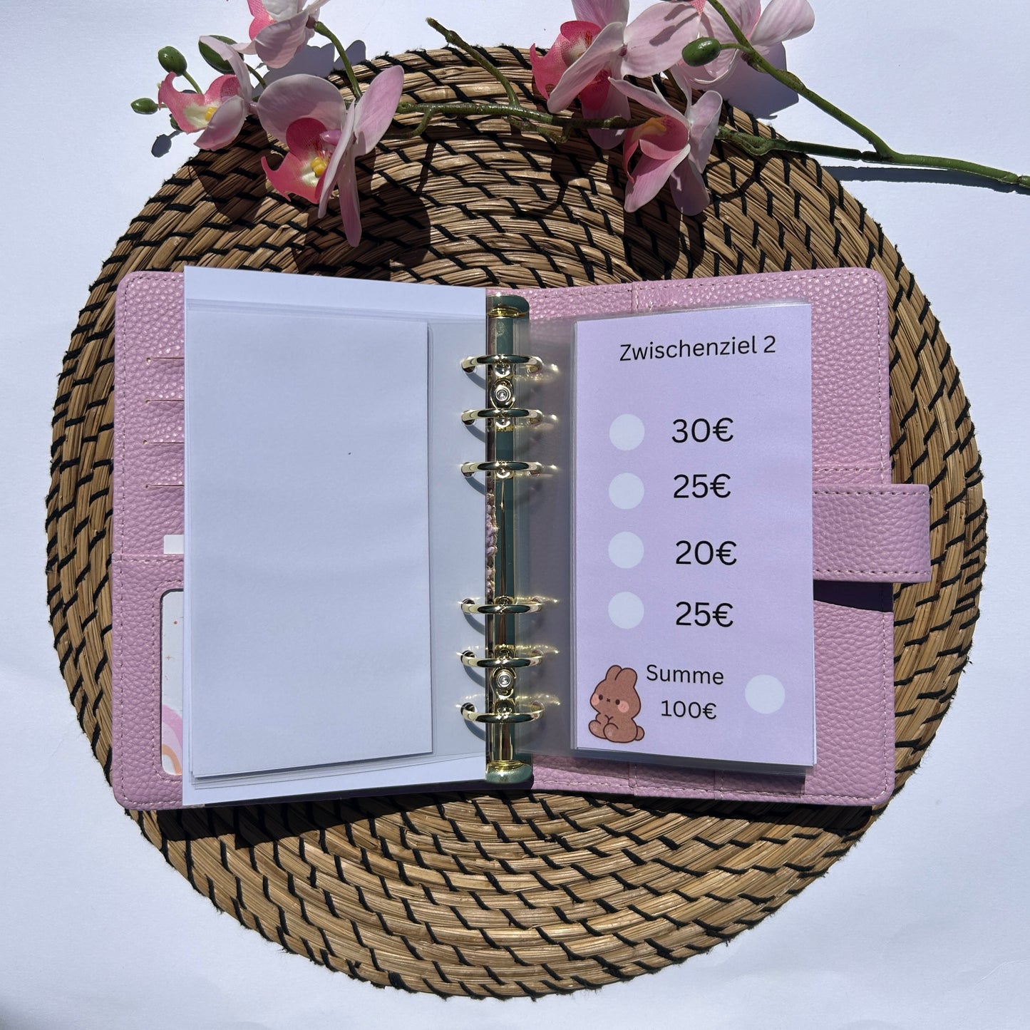 999€ Bunny Sparplan