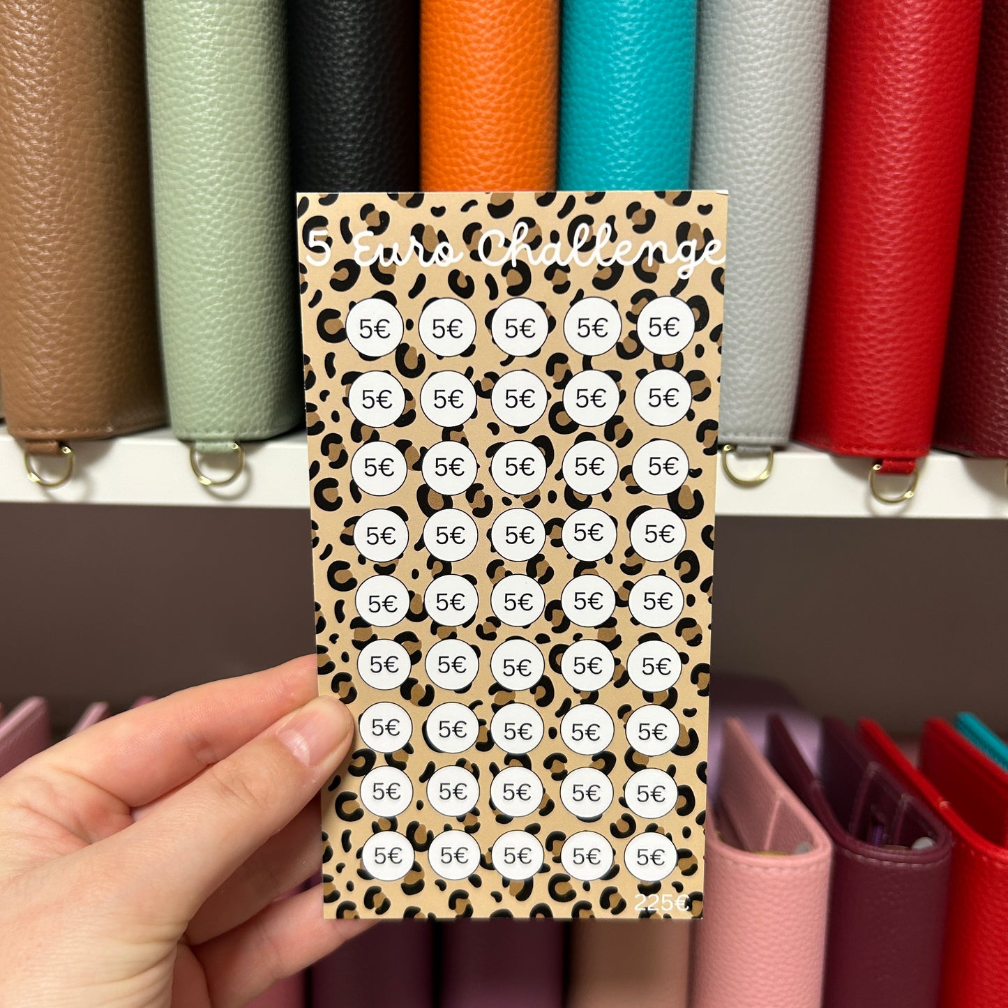 5 Euro Leo Sparchallenge