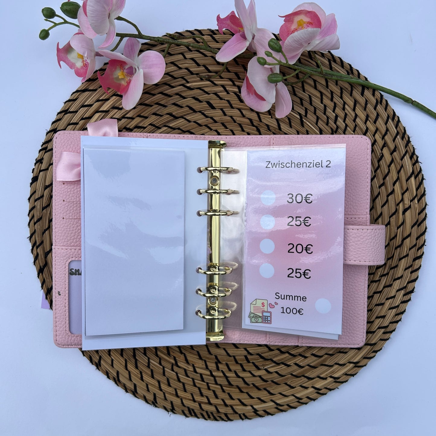 600€ Budgetmausi Sparplan