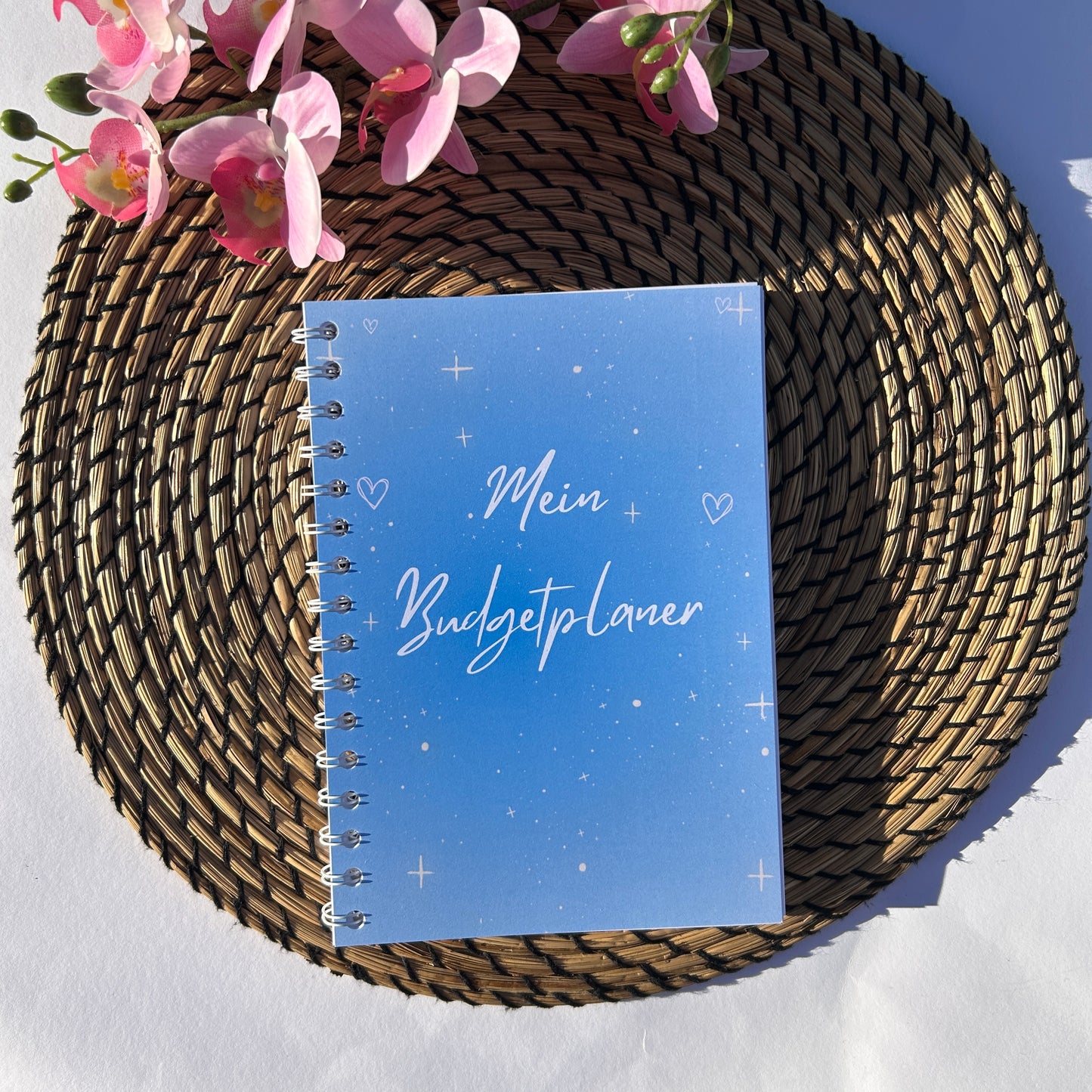 Budgetplaner Ringbuch Blau