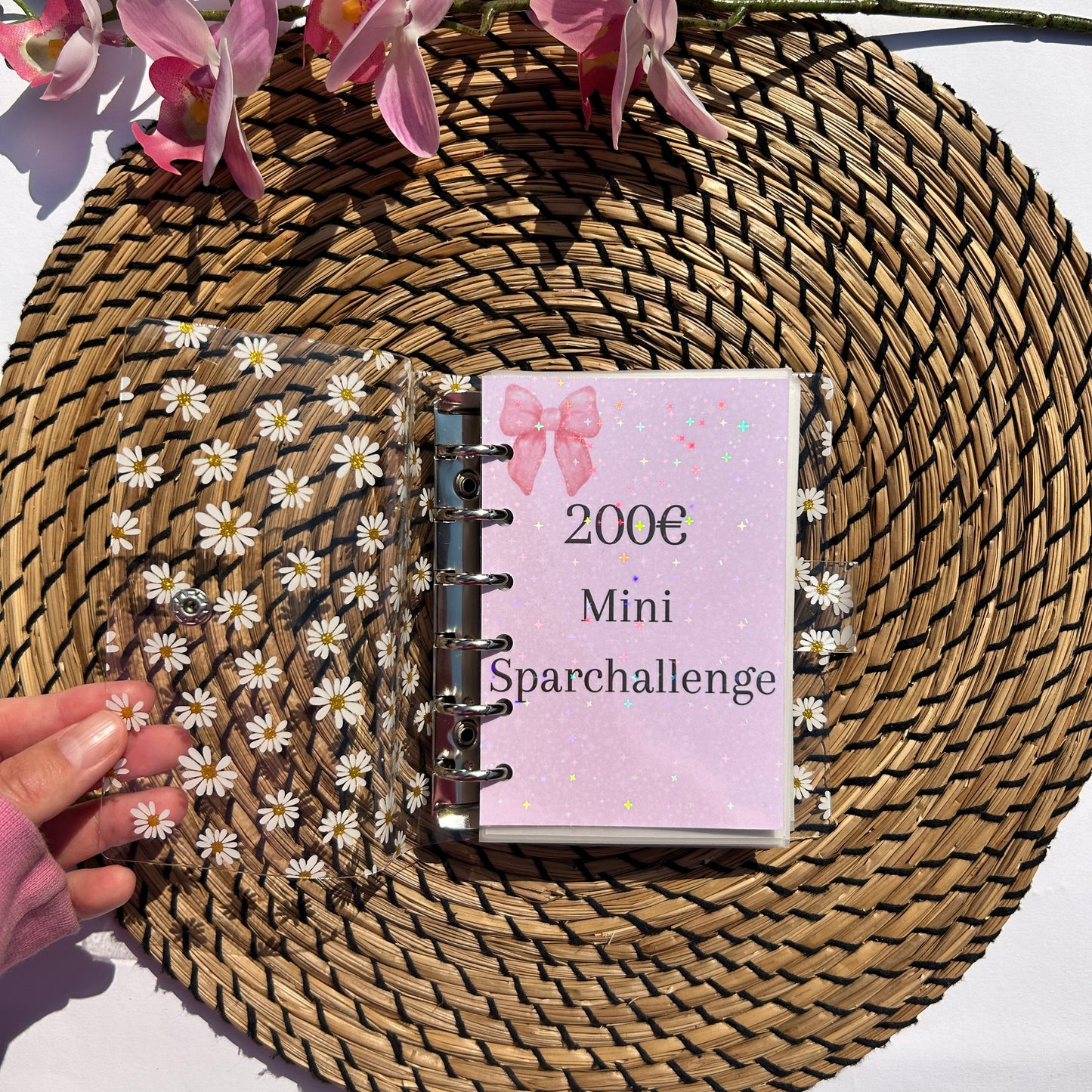 200 Euro Mini Sparchallenge