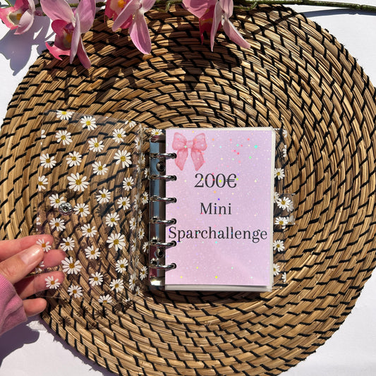 200 Euro Mini Sparchallenge