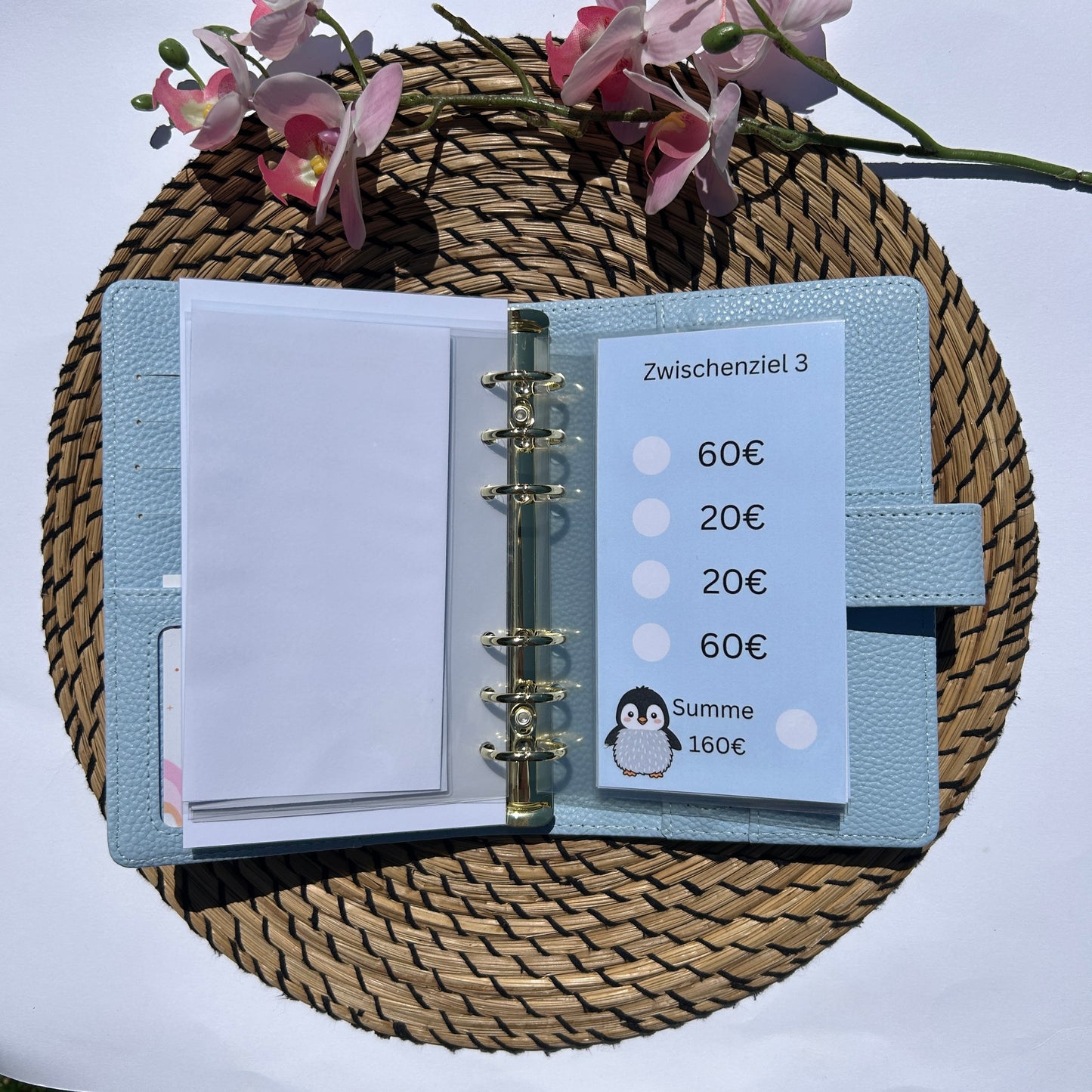 800€ Pinguin Sparplan
