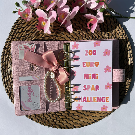Süße 200 Euro Mini Sparchallenge