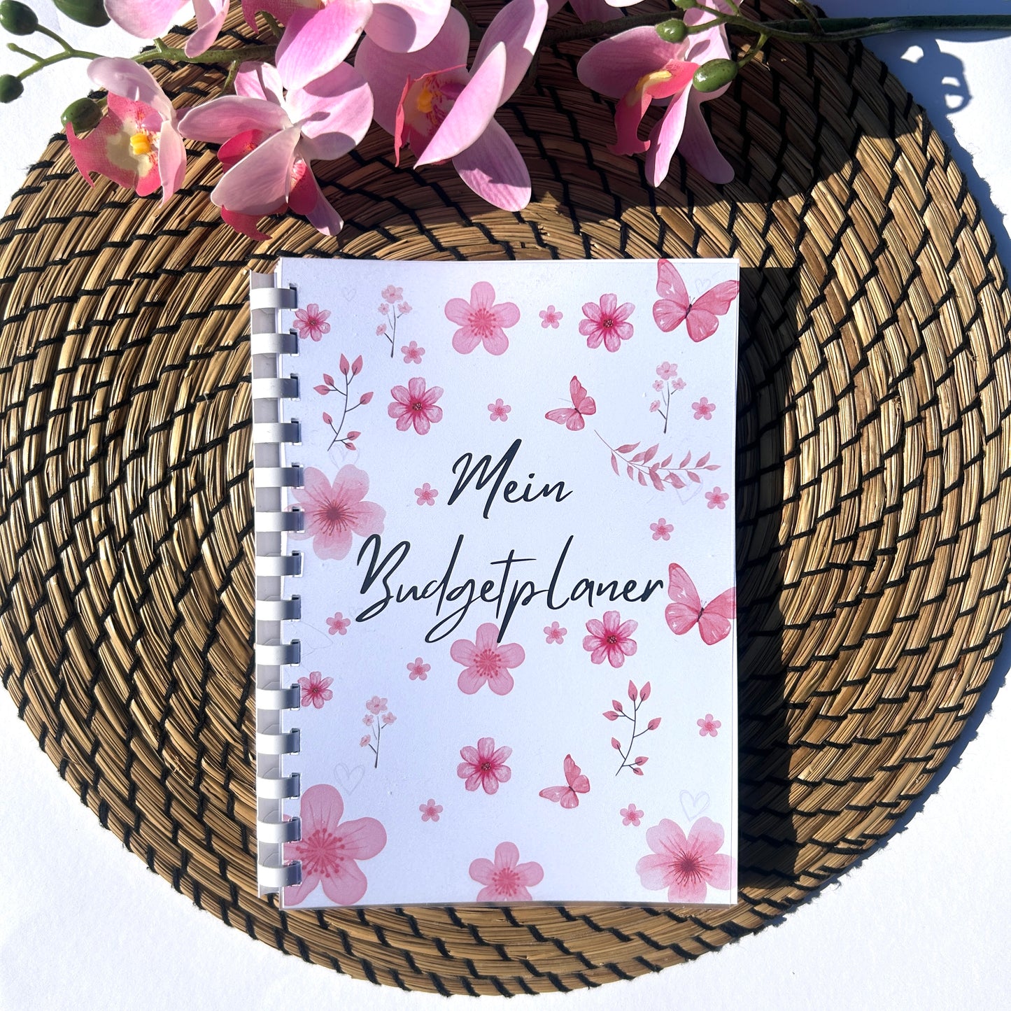 Budgetplaner Ringbuch