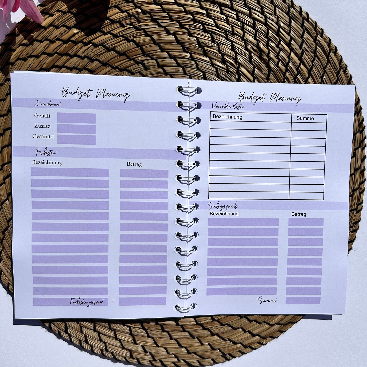 Budgetplaner Ringbuch Blau