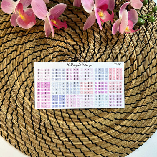 1 Euro Kleingeldchallenge